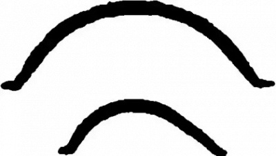 WILMINK GROUP wg1007604 -  Прокладка, масляный поддон